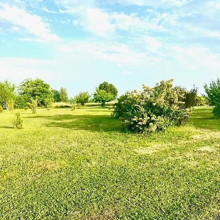 Les Lavandes Holiday home